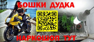 мдпв Аргун