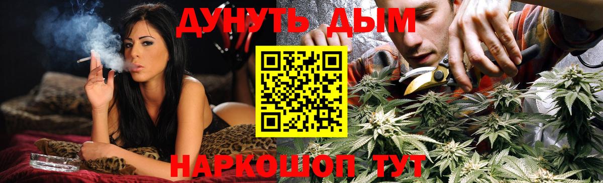 Бошки марихуана Bruce Banner  Вход с VPN  Канабис ГИДРОПОН  Беслан  Конопля AK-47 